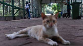 Pengunjung berfoto di Taman Margasatwa Ragunan, Jakarta Selatan, Sabtu (13/3/2021). ANTARA FOTO/Sigid Kurniawan