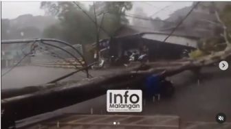 Pemotor Tertimpa Pohon Tumbang di Kota Malang, Korban Alami Patah Tulang