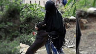 Anjing Peliharaan Hesti Diangkut Dinas Peternakan Bogor