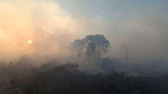 Cegah Karhutla Riau, Hujan Buatan Disebar hingga Awal Juli