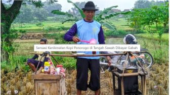 Sensasi Nyeruput Kopi di Tengah Sawah Ponorogo, Bayarnya Barter Gabah