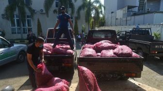 17 Ton Bawang Hasil Penindakan Dihibahkan ke Pesantren