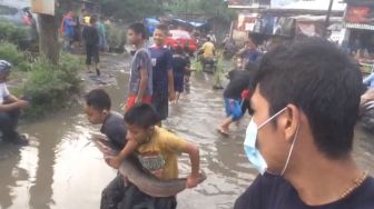 Aksi Protes, Warga Tamansari Bogor Tebar Ikan Lele di Jalan Rusak