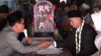 Kicau Mania! Pasangan Pengantin Nikah, Mas Kawin Pakai Burung Lovebird