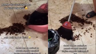 Bikin Merinding! Dapur Dipenuhi Kecoa, Warganet: Nggak Kebayang Baunya