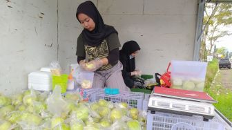 Kumpulan Resep Rujak Jambu Kristal Pinggir Jalan, Ide Usaha saat Lebaran