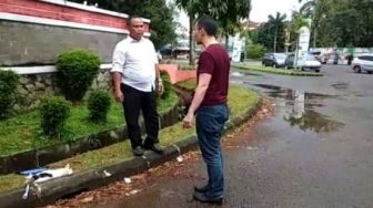 Pegawai Sekolah di Tangsel Siksa Kucing hingga Pingsan Terancam 3 Bulan Bui