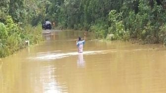 Hujan Deras, Puluhan Hektare Kebun Karet di Mesuji Terendam Banjir