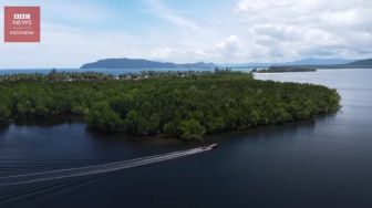 Hutan Perempuan di Papua: Tercemar Lingkungan dan Pembangunan Infrastruktur