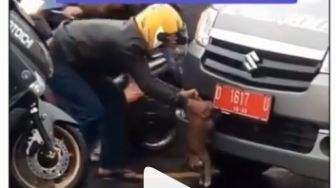 Viral Kucing Oren Terselip di Bemper Ambulans, Untung Ada si Bapak