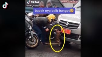 Viral Pemotor Nekat Hadang Ambulans, Selamatkan Kucing yang Terjepit Bemper