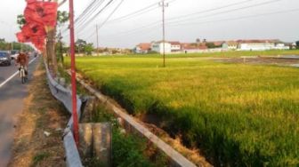 Pembangunan Tol Yogya – Solo Tak Mengganggu Produktivitas Pangan di Klaten