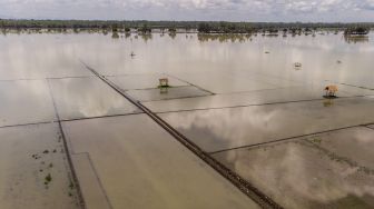 Lahan Pertanian di Pangandaran Terendam Banjir
