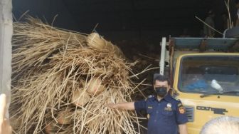 Kapal Dicegat di Perairan Kalbar, 100 Ton Rotan Gagal Diselundupkan