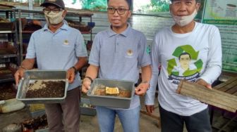 Urai Sampah Organik, TPA Jatibarang Budidaya Maggot