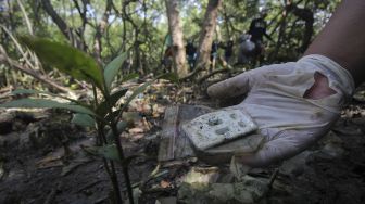 Aksi Bersih-bersih Sampah Plastik di Hutan Mangrove