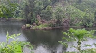 Wisata Tasikmalaya: Kisah Buaya Putih dan Ikan Penjaga Danau Angker