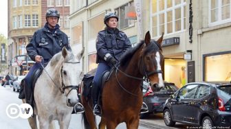 Polandia Rencana Beri Uang Pensiun untuk Anjing dan Kuda Patroli