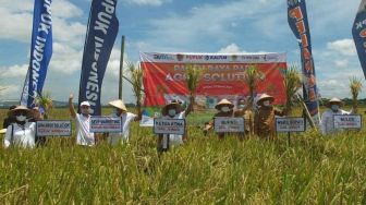 Berkontribusi ke Pemulihan Ekonomi, Program Agro Solution Raih Penghargaan