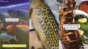 Wanita Ini Sengaja Masak Ikan Arwana Besar, Warganet Menjerit Teringat Uang