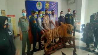 KLHK Tangkap Penjual Opsetan Harimau Sumatera
