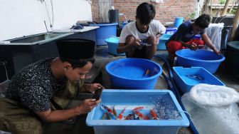 Sejumlah santri memotre hasil budi daya ikan koi dengan telepon pintarnya yang akan dijual melalui media sosial di Pondok Pesantren Al Barokah, Samben, Gunting, Wonosari, Klaten, Jawa Tengah, Kamis (1/4/2021). ANTARA FOTO/Aloysius Jarot Nugroho
