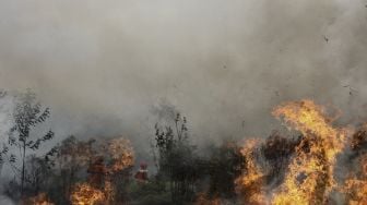 Kebakaran di Pekanbaru Hanguskan 10 Hektar Lahan