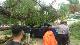 Padang Diterpa Angin Kencang, Pohon Tumbang Timpa Mobil hingga Rumah Warga