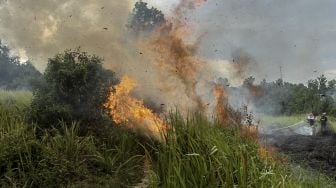 Satgas Kebakaran Hutan dan Lahan (Karhutla) Riau yang terdiri dari petugas Manggala Agni Daops Pekanbaru, BPBD Pekanbaru, Masyarakat Peduli Api dan TNI Polri berusaha memadamkan api yang membakar lahan ketika terjadi kebakaran lahan di Pekanbaru, Riau, Jumat (2/4/2021). [ANTARA FOTO/Rony Muharrman]