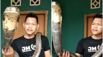 Viral Video Pria Asyik Main Bareng Ular Kobra, Publik: Ngeprank Malaikat