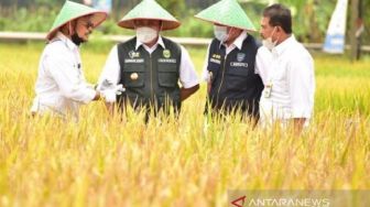 Ikut Panen Raya, Mentan Beberkan Upaya Pemerintah Sejahterakan Petani