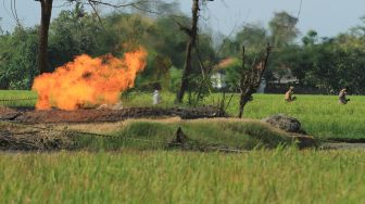 Petugas memeriksa areal sekitar sawah yang mengeluarkan semburan api dari gas liar di Desa Sukaperna, Tukdana, Indramayu, Jawa Barat, Sabtu (3/4/2021). ANTARA FOTO/Dedhez Anggara