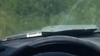 Mobil Nyungsep ke Semak Gegara Pacar Baca Google Maps, Warganet Tepok Jidat