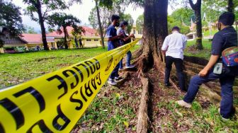 Heboh! 5 Granat dan 1 Ranjau Ditemukan di Taman Raya Bung Hatta Padang