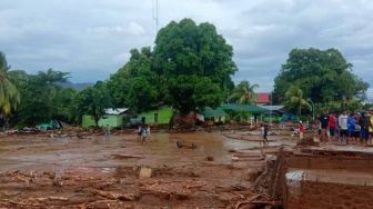 Update Banjir Bandang NTT, 256 Orang Jadi Korban di Flores Timur