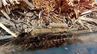 Warga Resah Limbah Perusahaan Kayu Diduga Cemari Sungai Kapuas