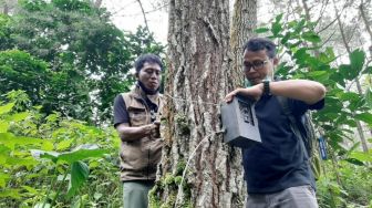 BKSDA Teliti Kamera Trap, Memastikan Isu Harimau di Lereng Gunung Wilis