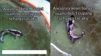 Istri Kesal Suami Beli Ikan Cupang Mahal, Publik Bersyukur Lihat Endingnya