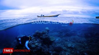 Seho Dive Encourages Society to Protect the Sea at Taliabu Island