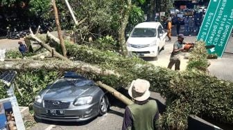 Dua Mobil Rusak Berat Tertimpa Pohon Tumbang di Jalan Bungur Bandung