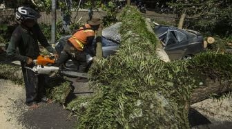 Petugas Dinas Perumahan dan Kawasan Permukiman, Pertanahan dan Pertamanan (Dpkp3) Kota Bandung mengevakuasi pohon tumbang yang menimpa mobil di Bandung, Jawa Barat, Kamis (8/4/2021). ANTARA FOTO/Novrian Arbi

