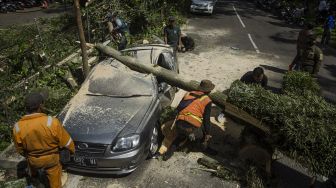 Petugas Dinas Perumahan dan Kawasan Permukiman, Pertanahan dan Pertamanan (Dpkp3) Kota Bandung mengevakuasi pohon tumbang yang menimpa mobil di Bandung, Jawa Barat, Kamis (8/4/2021). ANTARA FOTO/Novrian Arbi
