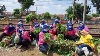 UNIK, Warga Cipinang Pamen Raya Urban Farming di Pinggir Rel