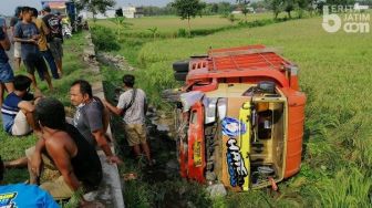 Truk Terguling ke Sawah Gara-gara Supirnya Panik Disengat Lebah