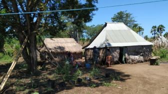 Ratusan Warga Kabupaten Lembata Mengungsi di Kebun