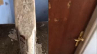 Depan Pintu Dipenuhi Semut, Pria Ini Syok Lihat Kondisi Kamar Tetangga