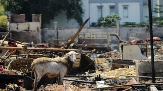 Suasana Pasar Kambing Tanah Abang Pasca Kebakaran