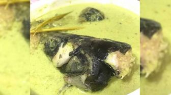 Resep Kepala Baung Gulai Hijau & Rujak Tahu Selada, Cocok buat Menu Berbuka