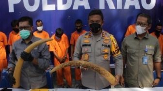 Perkara Perdagangan Gading Gajah Mulai Disidangkan di PN Teluk Kuantan