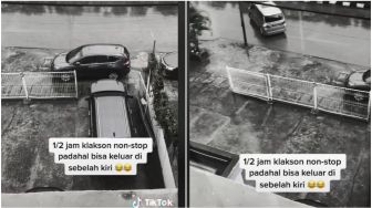 Viral Video Mobil Parkir Sembarangan, Diklakson berjam-jam Nggak Dipindahin